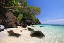 Philippines Scuba Diving Holiday. Dumaguete Dive Centre. Day Trip.